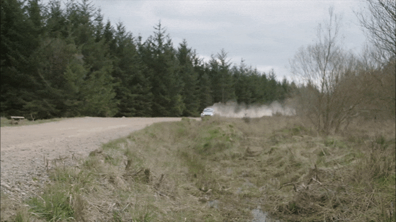 Ford The Psychology of Performance