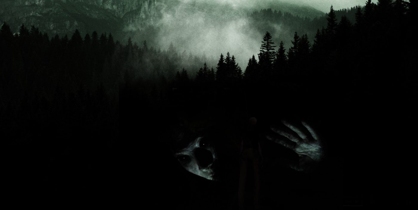 the forest 360 experience