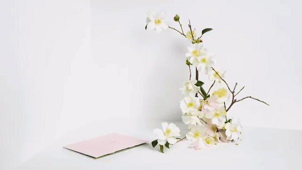 Augmented Reality Pop-Up Book
